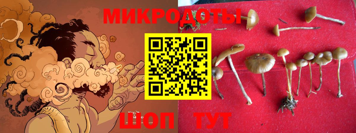 Псилоцибиновые грибы MAGIC MUSHROOMS  Вход с VPN  Сыктывкар 