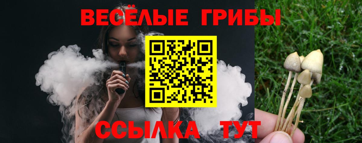 Псилоцибиновые грибы мухоморы Сыктывкар