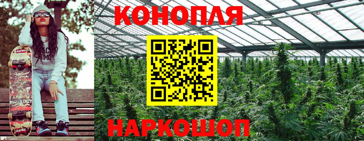 Сыктывкар  Марихуана SATIVA & INDICA  МАРИХУАНА Ganja  Канабис OG Kush  Вход с VPN 